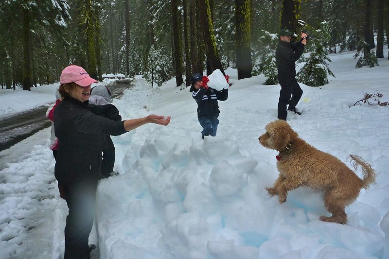 Preparation for Africa in Geneva, Switzerland